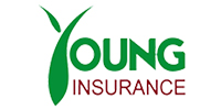 Young Insurance